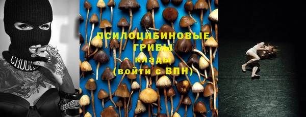2c-b Белокуриха