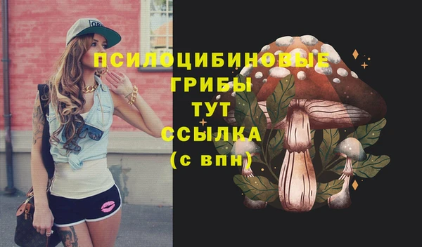 ECSTASY Белоозёрский